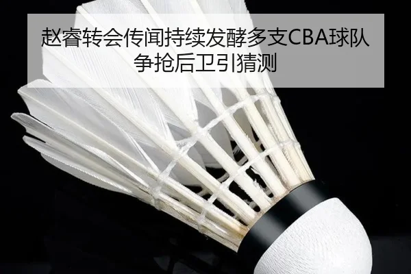 赵睿转会传闻持续发酵多支CBA球队争抢后卫引猜测 | HaoboSports