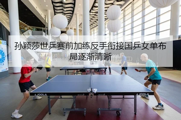 孙颖莎世乒赛前加练反手衔接国乒女单布局逐渐清晰 | HaoboSports